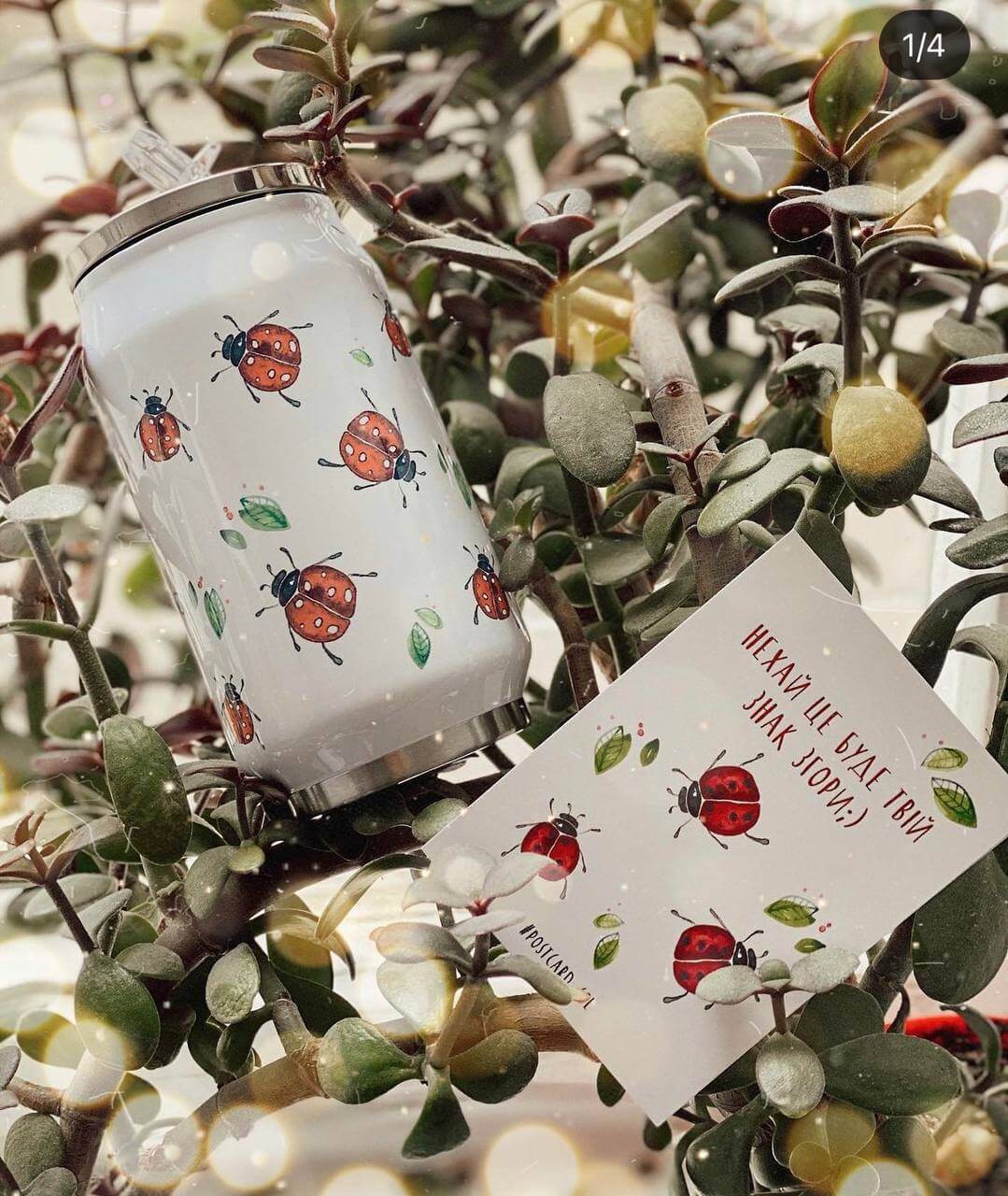 "ladybug" Vacuum Insulated Coffee Mugs. You can choose the shape and volume
